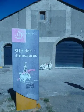 Image qui illustre: Traces De Dinosaure