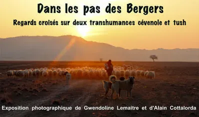 Image qui illustre: Dans Les Pas Des Bergers -&nbsp;gwendoline Lemaitre Et Alain Cottalorda à Moissac-Vallée-Française - 0