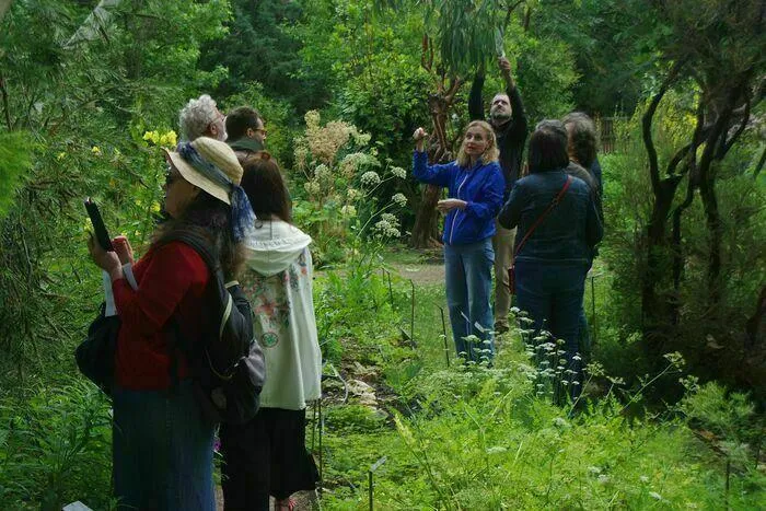 Image qui illustre: Visites guidées du jardin botanique de la faculté de santé d'Angers