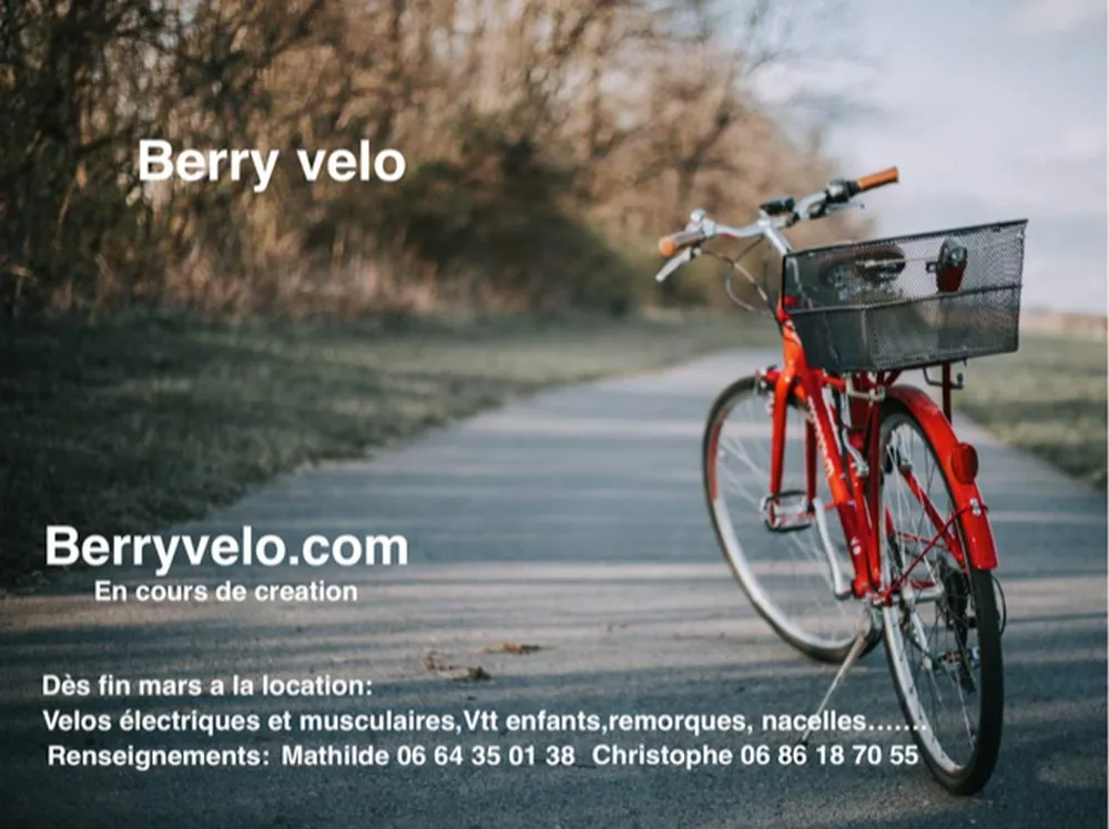 Image qui illustre: Berry Vélo à Méry-sur-Cher - 0