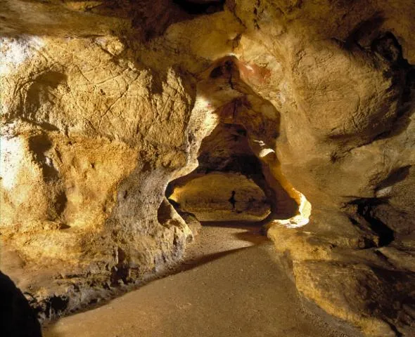 Image qui illustre: Visite guidée de la grotte de Pair-non-Pair