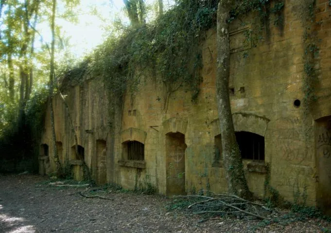 Image qui illustre: Le mont Saint-Quentin