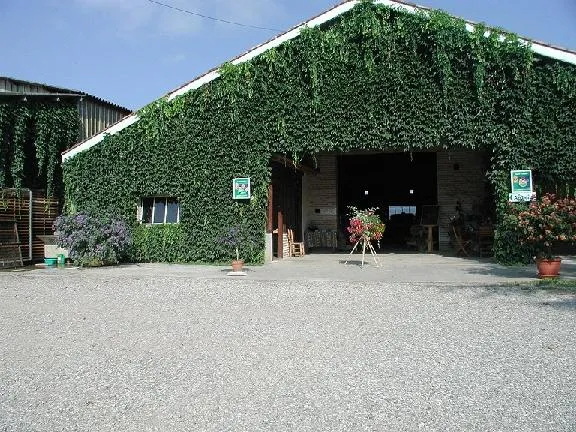 Image qui illustre: La Ferme Des Tuileries