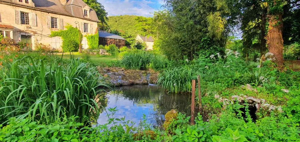 Image qui illustre: Ferme Des Forges