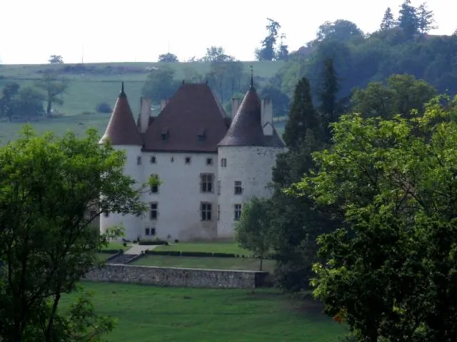 Image qui illustre: Château De Verseilles