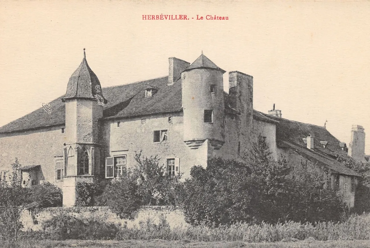 Image qui illustre: Château Lannoy à Herbéviller - 0