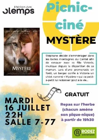 Image qui illustre: Picnic Ciné : Film "mystère"