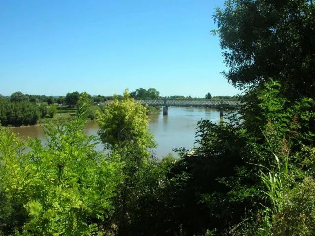 Image qui illustre: Boucle de la Dordogne