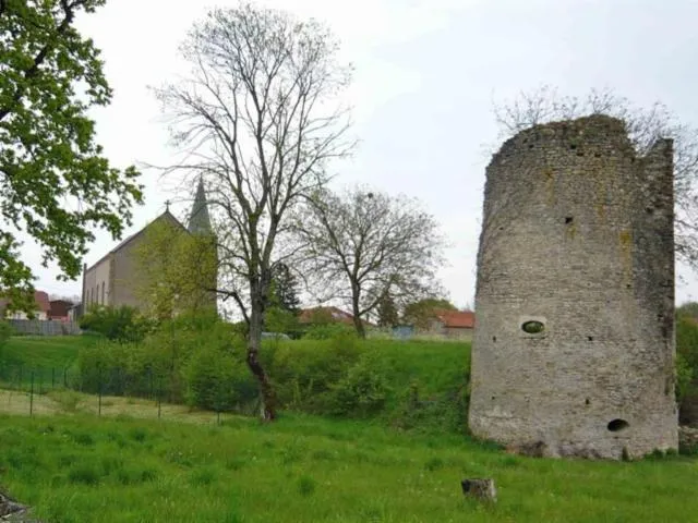 Image qui illustre: La Tour Du Château Comtal De Créhange