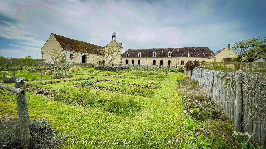 Image qui illustre: Le colombier vert