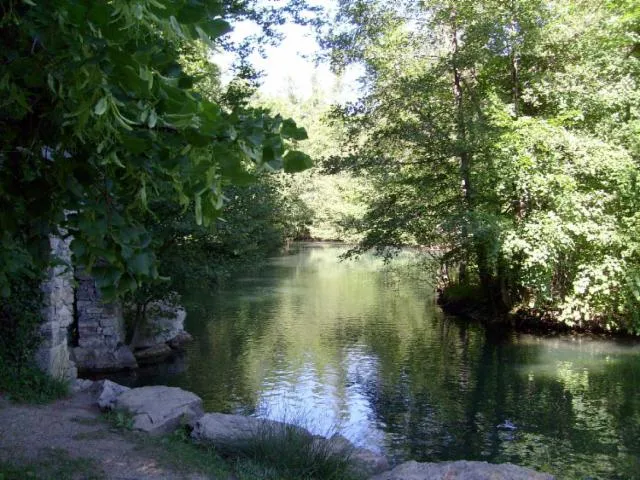 Image qui illustre: Domaine de Charance