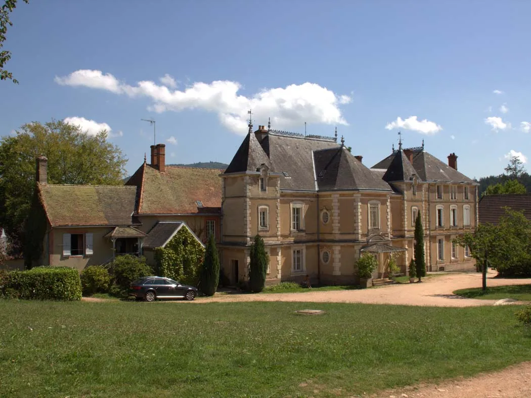 Image qui illustre: Château De Montrouant à Gibles - 0