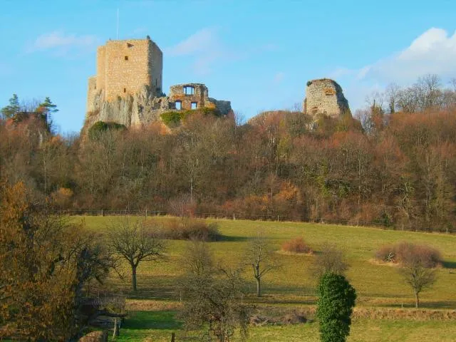 Image qui illustre: Château du Landskron