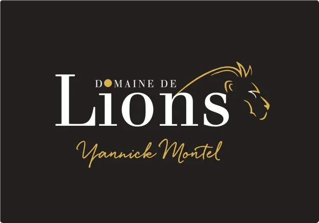 Image qui illustre: Domaine De Lions à Thézac - 0