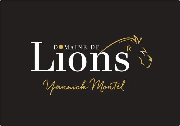 Image qui illustre: Domaine De Lions