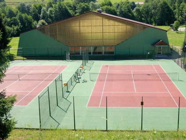 Image qui illustre: Tennis