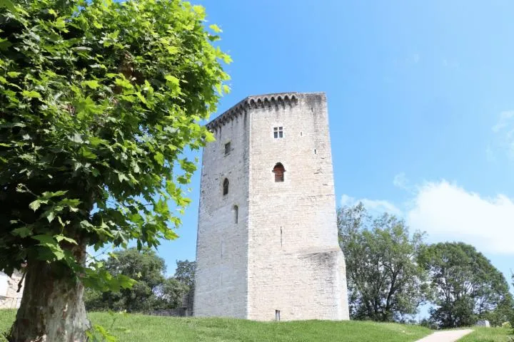 Image qui illustre: Le Château Moncade