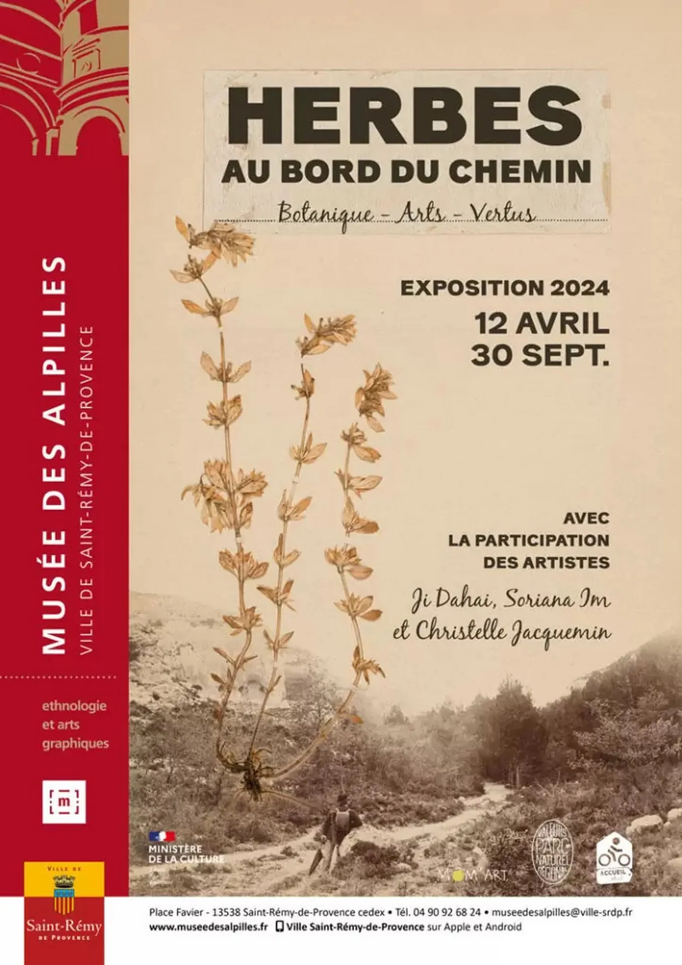 Image qui illustre: Exposition : Herbes Au Bord Du Chemin à Saint-Rémy-de-Provence - 0