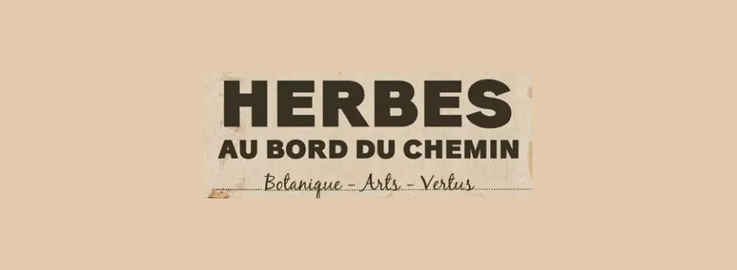 Image qui illustre: Exposition : Herbes Au Bord Du Chemin à Saint-Rémy-de-Provence - 1