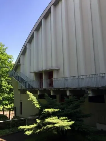 Image qui illustre: Musée Des Sapeurs Pompiers Lyon Rhône