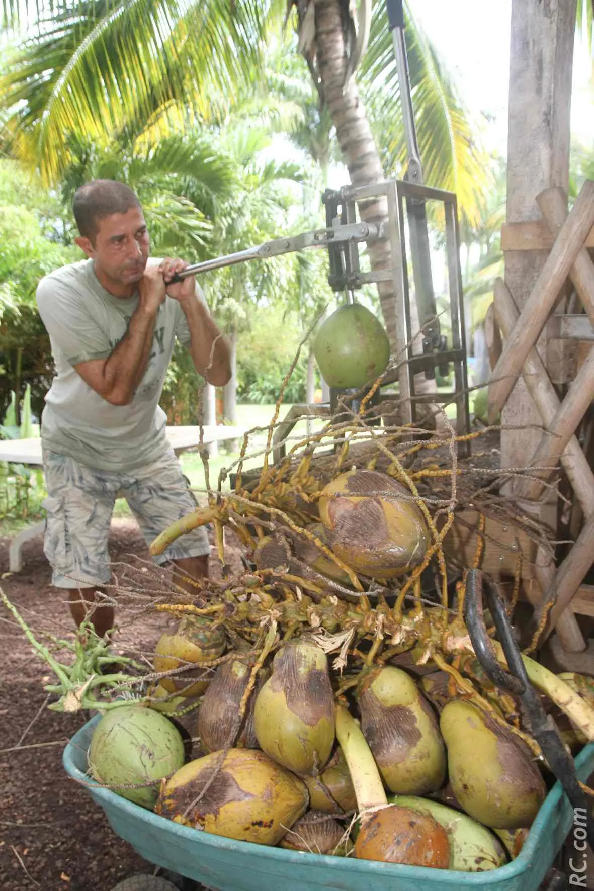 Image qui illustre: La maison du Coco