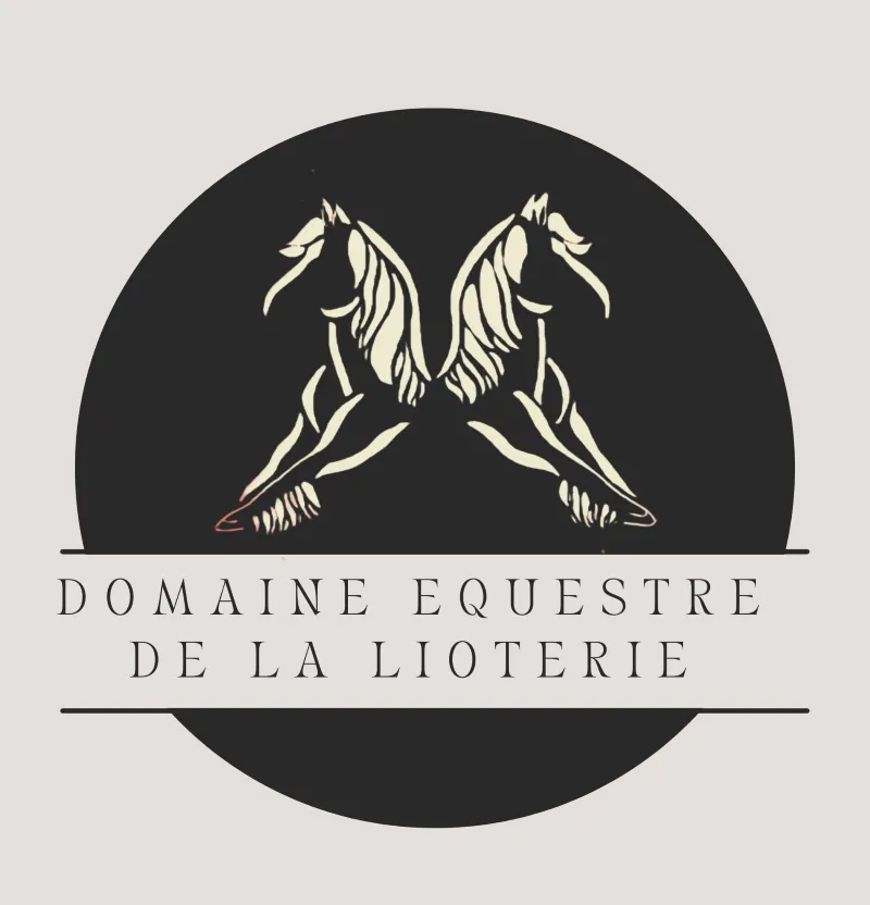 Image qui illustre: Domaine Équestre De La Lioterie à Maillet - 1