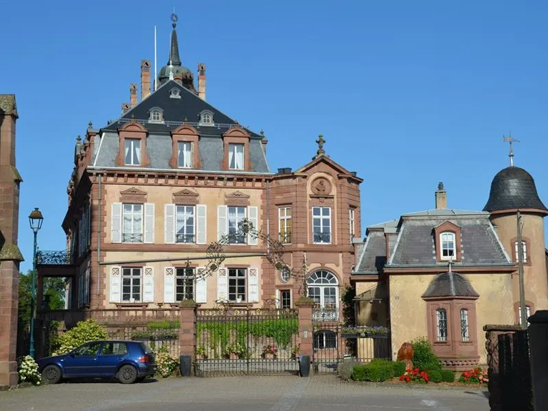 Image qui illustre: Château De Froeschwiller à Frœschwiller - 0
