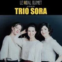 Image qui illustre: Trio Sora - Brahms