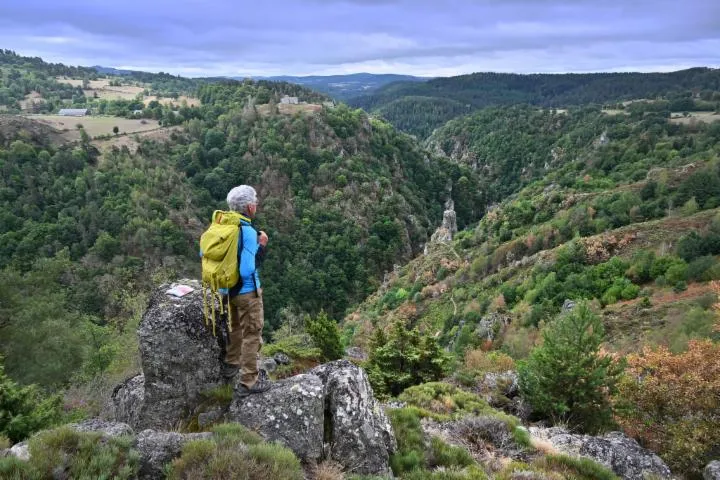 Image qui illustre: Parc naturel régional de l'Aubrac