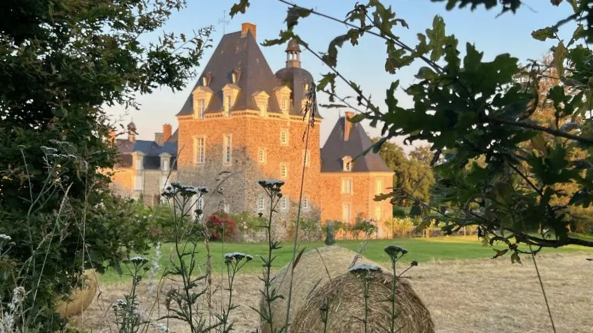 Image qui illustre: Visite libre des extérieurs du château des Arcis, des dépendances et des jardins