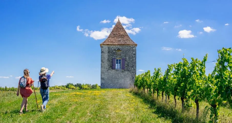 Image qui illustre: Point De Vue Du Pigeonnier Jean De Blanc