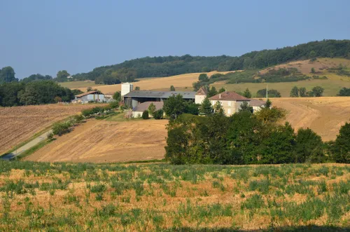 Image qui illustre: Saint-pierre-de-caubel, La Balade De Darbe Feuille à Pinel-Hauterive - 2