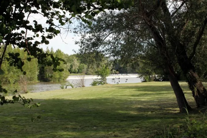 Image qui illustre: Bois De Notre-dame