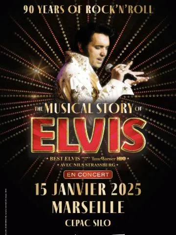 Image qui illustre: The Musical Story Of Elvis