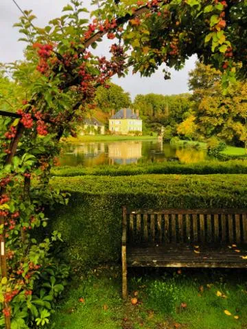 Image qui illustre: Jardin Du Plessis Sasnières