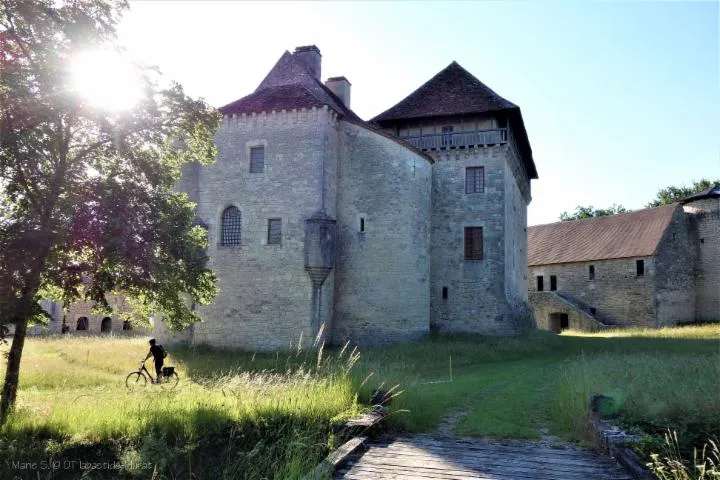 Image qui illustre: Visite Du Château De Vaillac