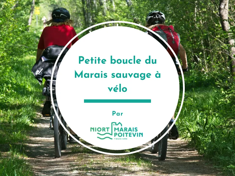 Image qui illustre: Petite boucle du Marais sauvage à vélo à Arçais - 0