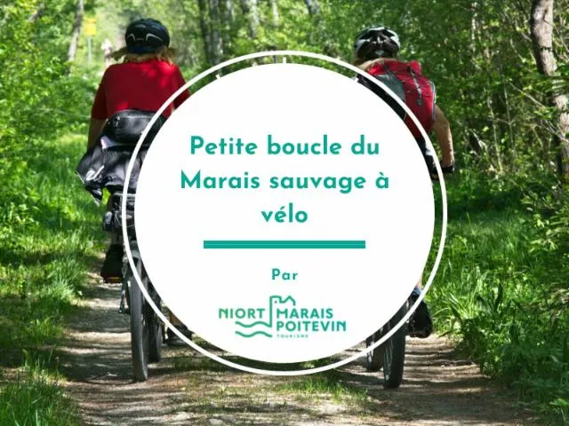 Image qui illustre: Petite boucle du Marais sauvage à vélo