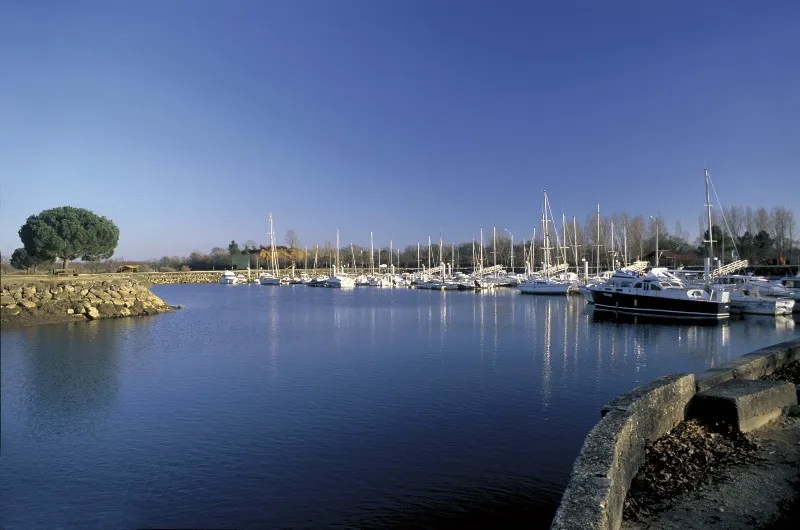 Image qui illustre: Port de plaisance du Teich à Le Teich - 0