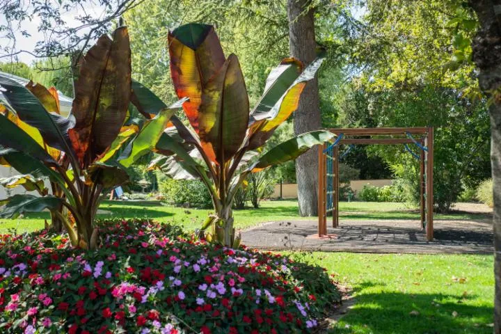 Image qui illustre: Jardin Chantoiseau