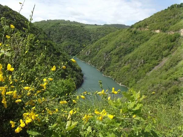 Image qui illustre: Itinérance En Vallée Du Tarn