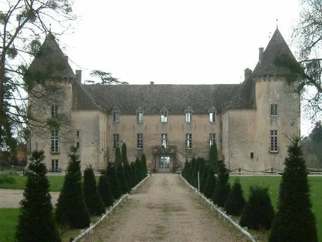 Image qui illustre: Château De Savigny