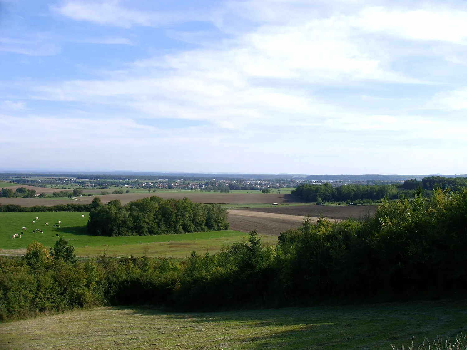Image qui illustre: La prairie de Jolivet à Lunéville - 0