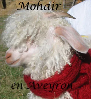 Image qui illustre: Mohair En Aveyron à Saint-Rome-de-Cernon - 0