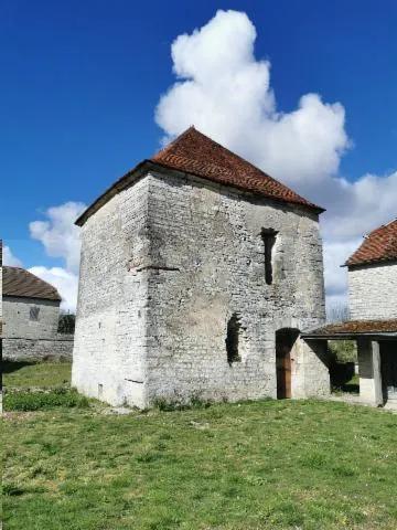 Image qui illustre: Visite d'une tour seigneuriale de l'abbaye de Clairvaux