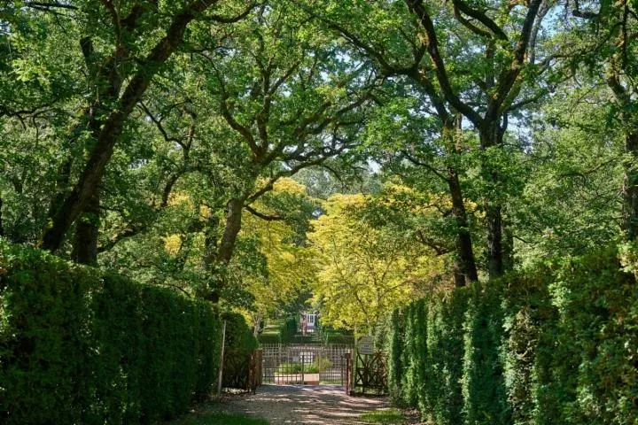 Image qui illustre: Parc Du Château De Merville