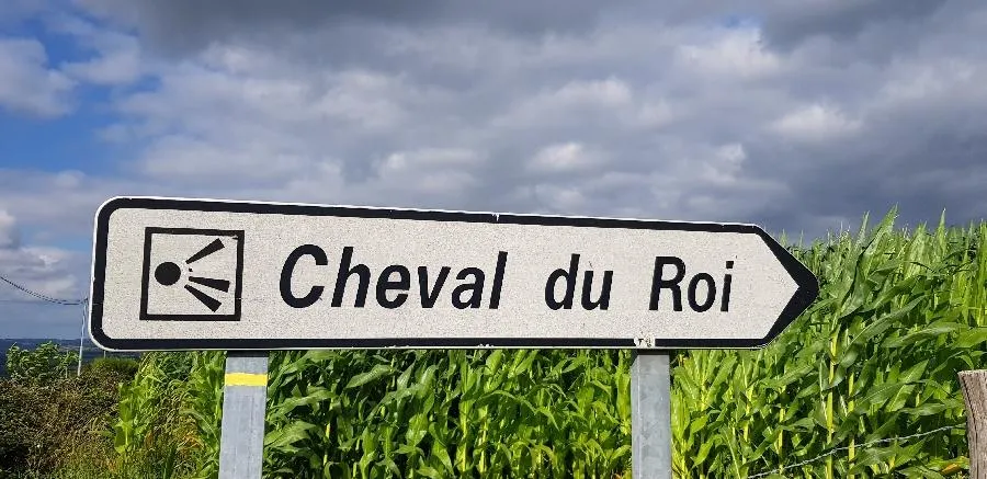 Image qui illustre: Balade Au Cheval Du Roi