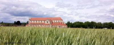 Image qui illustre: Eglise abbatiale de Pontigny