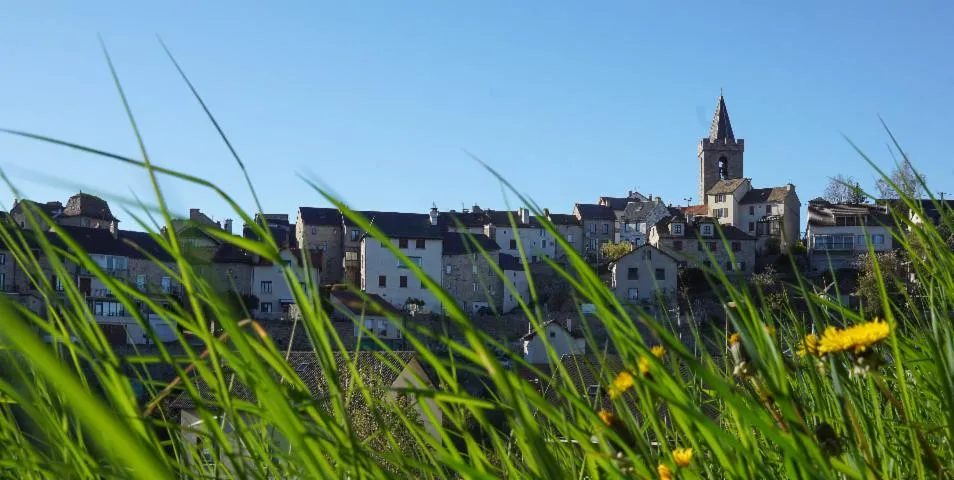 Image qui illustre: Visite Guidée De Saint-chély-D'apcher