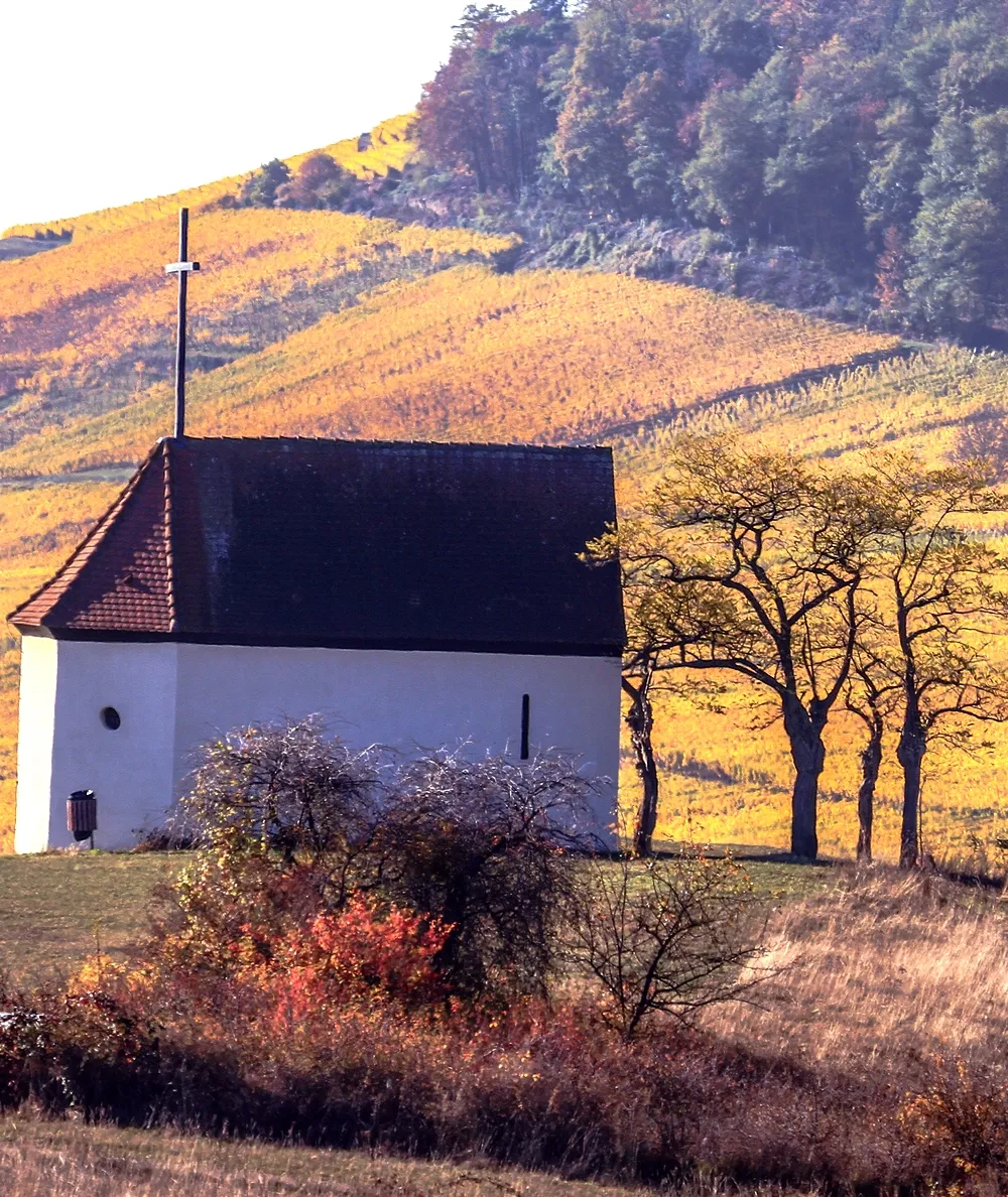 Image qui illustre: Colline du Bollenberg